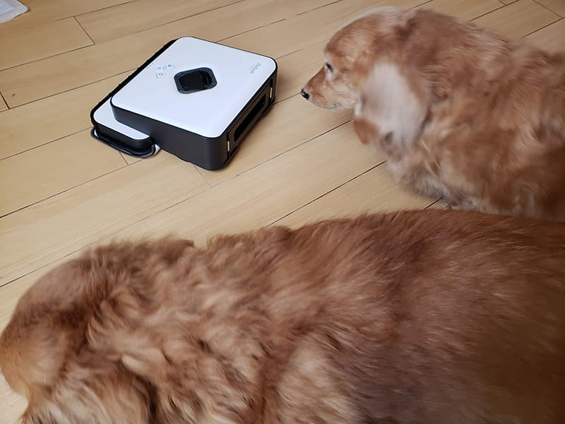 【2020年版】ロボット掃除機DEEBOT vs ILIFEを比較!一人暮らしやペットのいるご家庭にもオススメ! ブラーバ愛用中